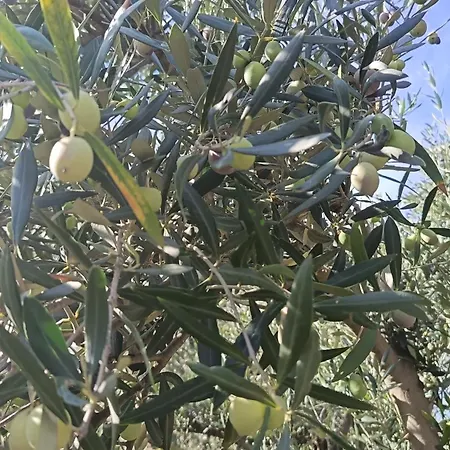 Esclusiva Nella Natura Vista Mare E Tramonti Marina di Sorso